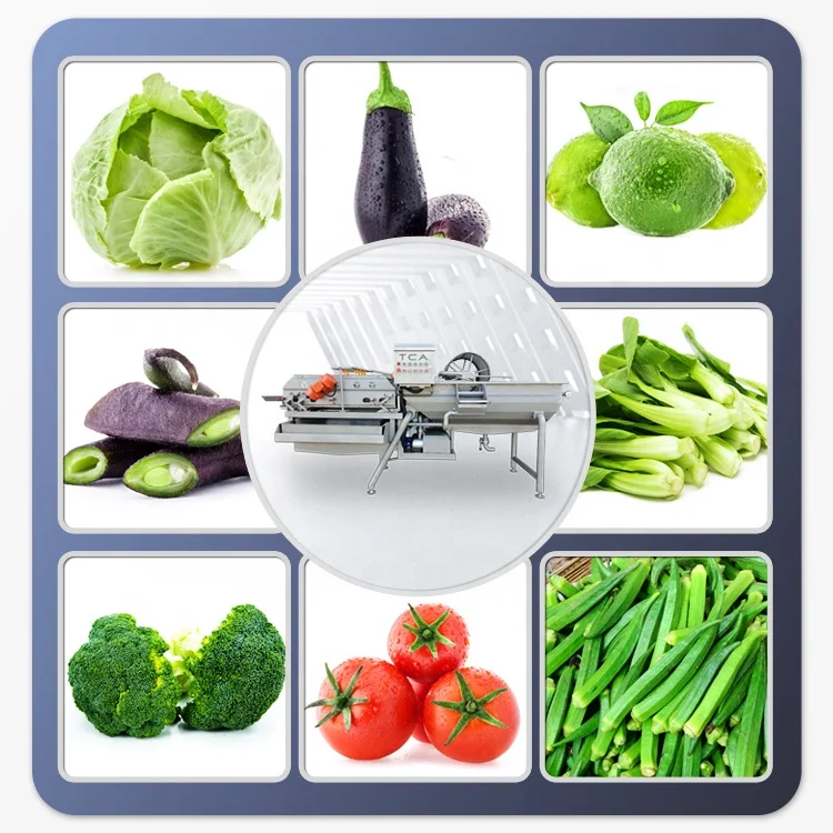 Автоматична висококачествена машина за рязане на зеленчуци, почистване на салати от зеленчуци, пълнозърнести, налягане и обезводняване вода